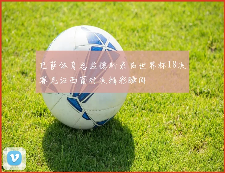 巴萨体育总监德科亲临世界杯18决赛见证西葡对决精彩瞬间