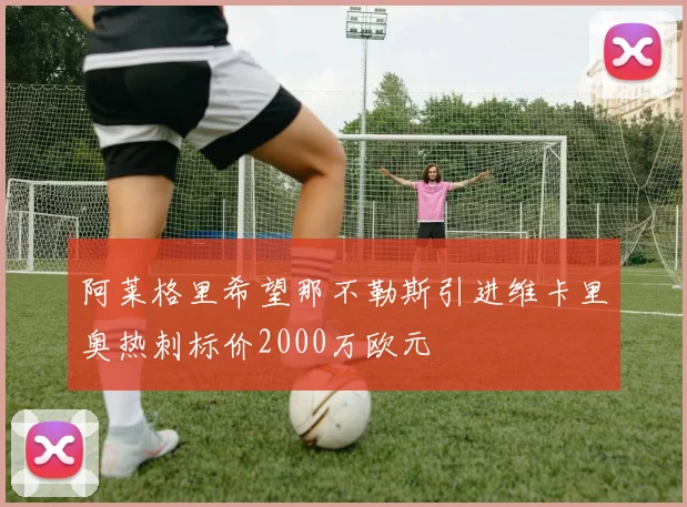 阿莱格里希望那不勒斯引进维卡里奥热刺标价2000万欧元